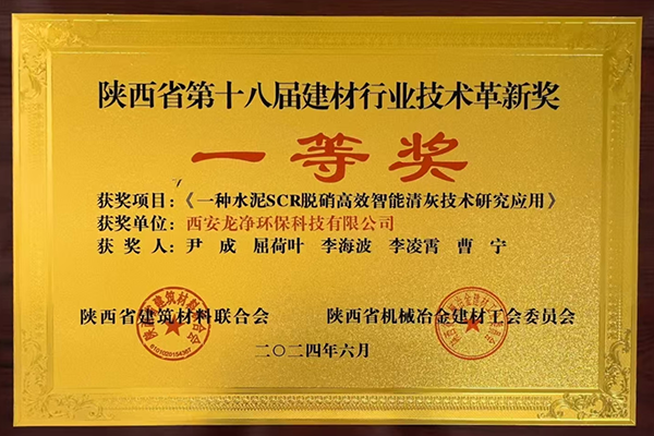 徐婷.png